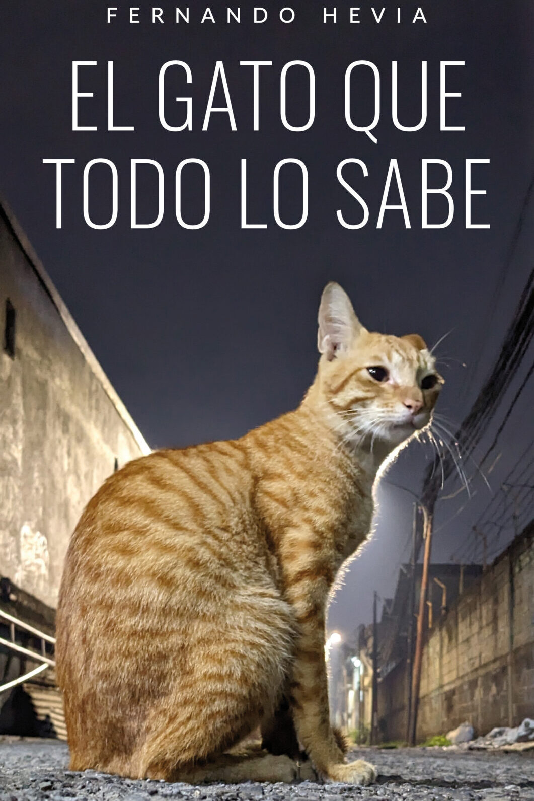 El gato que todo lo sabe